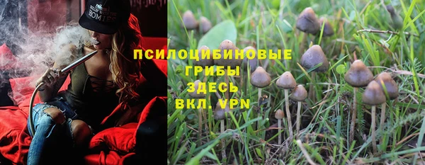 apvp Алексеевка