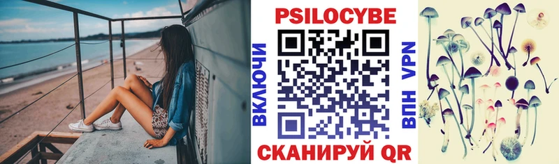 Псилоцибиновые грибы Psilocybe  где найти   Куртамыш 